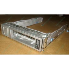 Салазки Sun 350-1386-04 в Волгодонске, 330-5120-04 1 для HDD (Волгодонск)