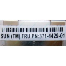 Серверная память SUN (FRU PN 371-4429-01) 4096Mb (4Gb) DDR3 ECC в Волгодонске, память для сервера SUN FRU P/N 371-4429-01 (Волгодонск)