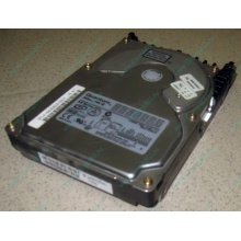 Жесткий диск 18.4Gb Quantum Atlas 10K III U160 SCSI (Волгодонск)