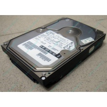 Жесткий диск 18.2Gb IBM Ultrastar DDYS-T18350 Ultra3 SCSI (Волгодонск)