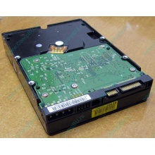 Б/У жёсткий диск 400Gb WD WD4000YR Caviar RE2 7200 rpm SATA  (Волгодонск)