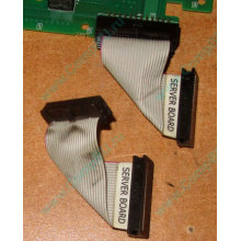 6017B0045701 Шлейф 24 pin для Intel C74974-401 T0043401-B01 корпуса SR2400 (Волгодонск)