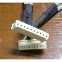 6017B0048101 в Волгодонске, USB кабель панели управления Intel 6017B0048101 для SR1400 / SR2400 (Волгодонск)