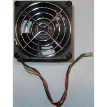 Вентилятор EFB0812HHE IBM 59P23B1 FRU 59P2572 (Волгодонск)