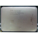 AMD Opteron 6128 OS6128WKT8EGO (Волгодонск)