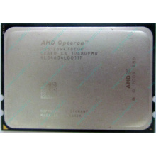 AMD Opteron 6128 OS6128WKT8EGO (Волгодонск)