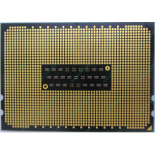 AMD Opteron 6128 OS6128WKT8EGO (Волгодонск)