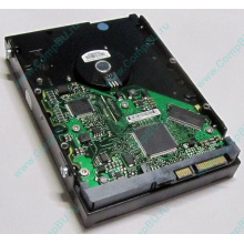 Жесткий диск 80Gb HP 5188-1894 9W2812-630 345713-005 Seagate ST380013AS SATA (Волгодонск)
