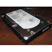 Жесткий диск 300Gb 15k Dell 9CH066-050 6G SAS (Seagate Cheetach ST3300656SS 15K.6) - Волгодонск