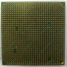Процессор AMD Sempron 3000+ (1.6GHz) SDA3000IAA3CN s.AM2 (Волгодонск)